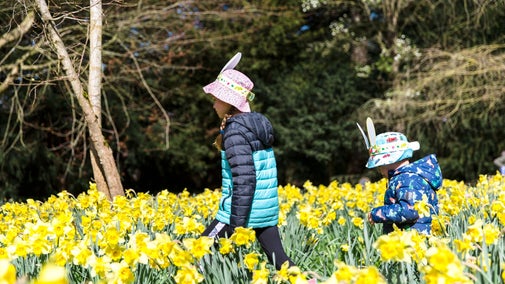 Two girls wearing bunny ears walking among the daffodils on an Easter Trail